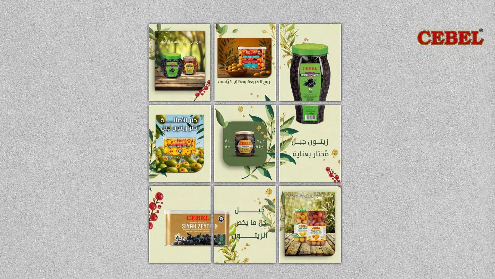 سەبێل — ناوەڕۆکی سۆشیاڵ — Cebel